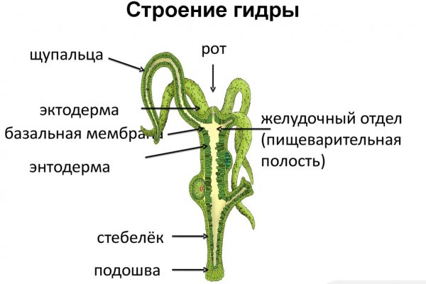 Кракен вывод средств