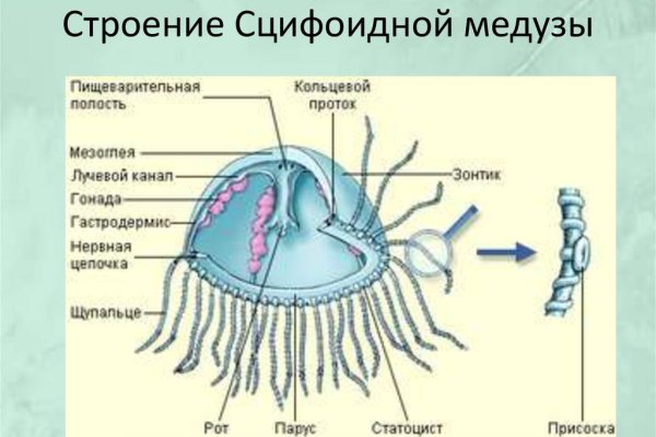 Доступ к сайту кракен